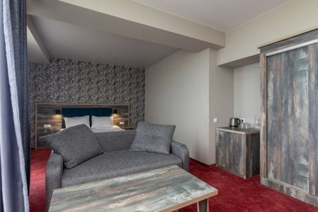 Студио Комфорт 2-местный 1-комнатный