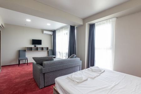 Студио Комфорт 2-местный 1-комнатный